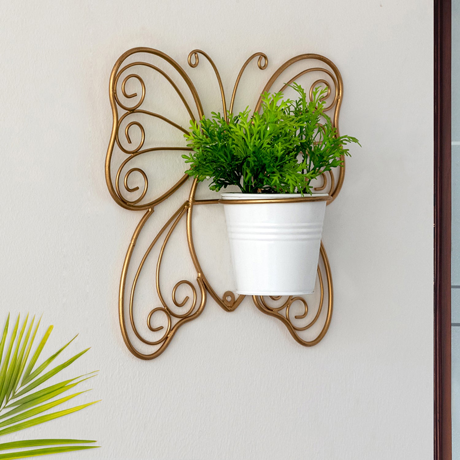 Buy Titli Ima Wall Planter Pots & Planters from Vaaree