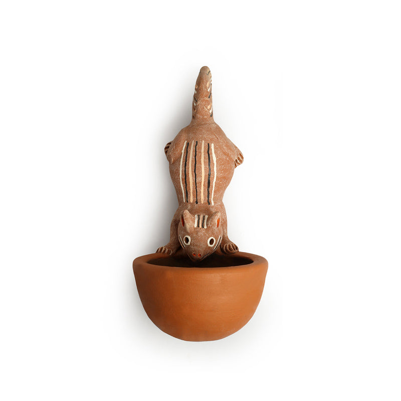 Buy Squirrel Squeak Wall Planter Pots & Planters from Vaaree