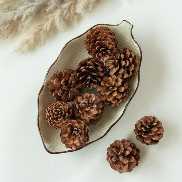 Buy Hunter Dried Pine Cone - Set Of Ten Artificial Flowers from Vaaree