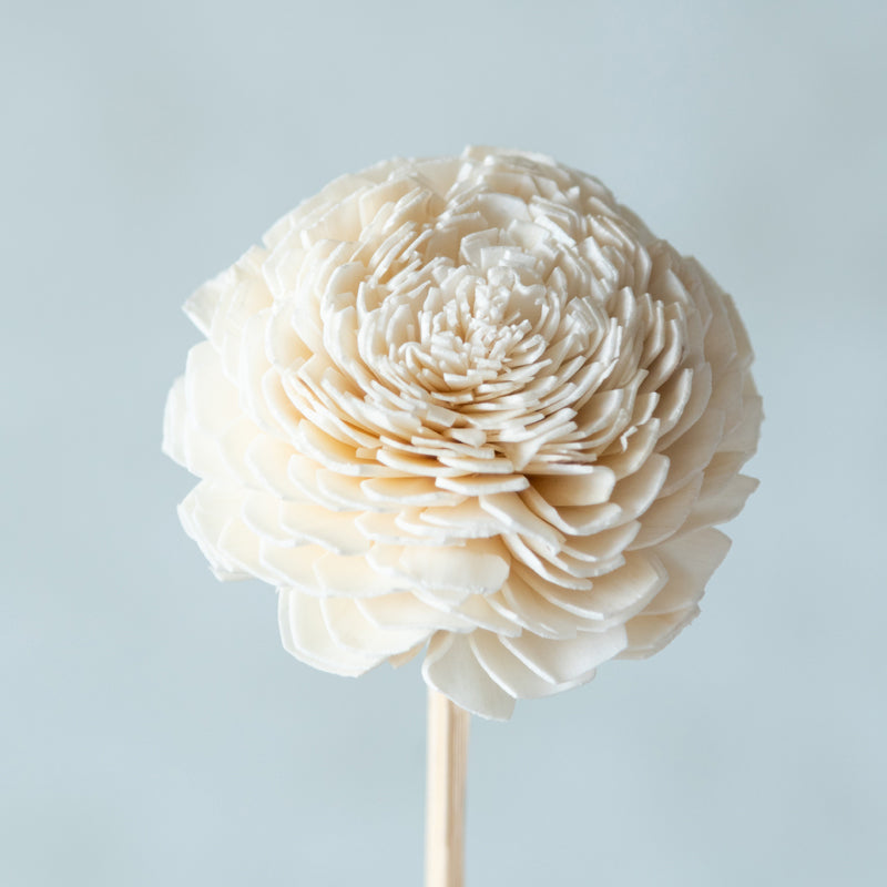 Buy Esta Sola Wood Rose Flower Stick (White) - Set Of Ten Artificial Flowers from Vaaree