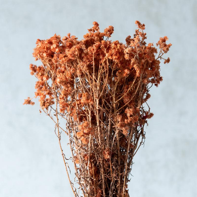 Buy Gypsy Glam Dried Flower Bunch - Honey Artificial Flowers from Vaaree