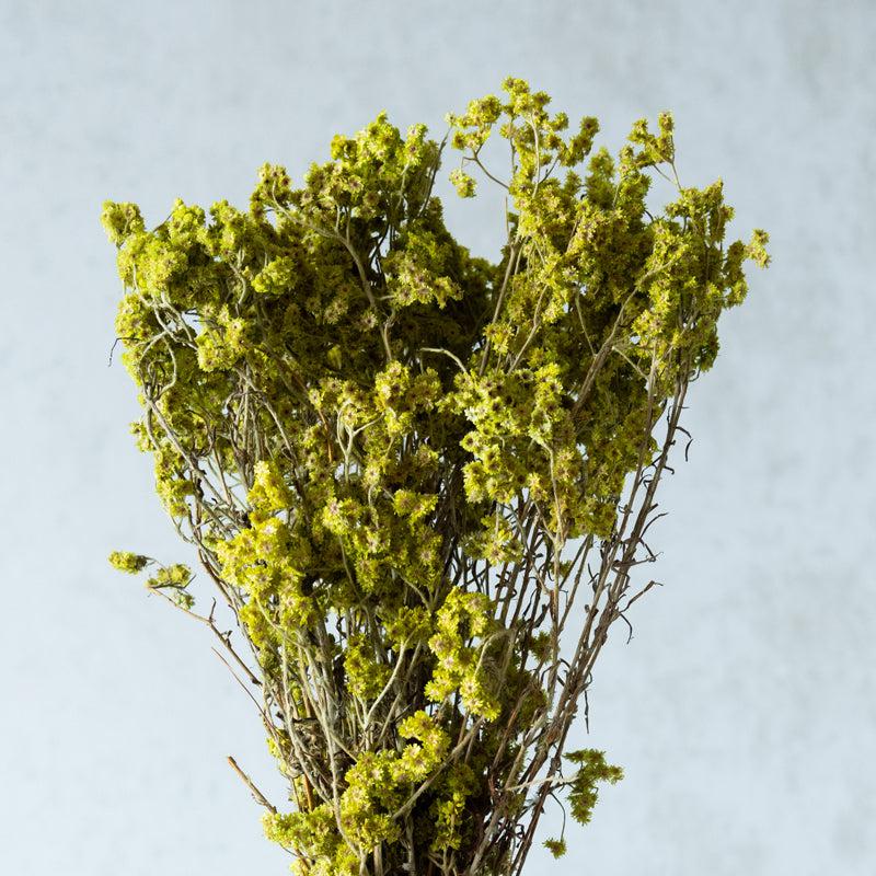 Buy Gypsy Glam Dried Flower Bunch - Yellow Artificial Flowers from Vaaree