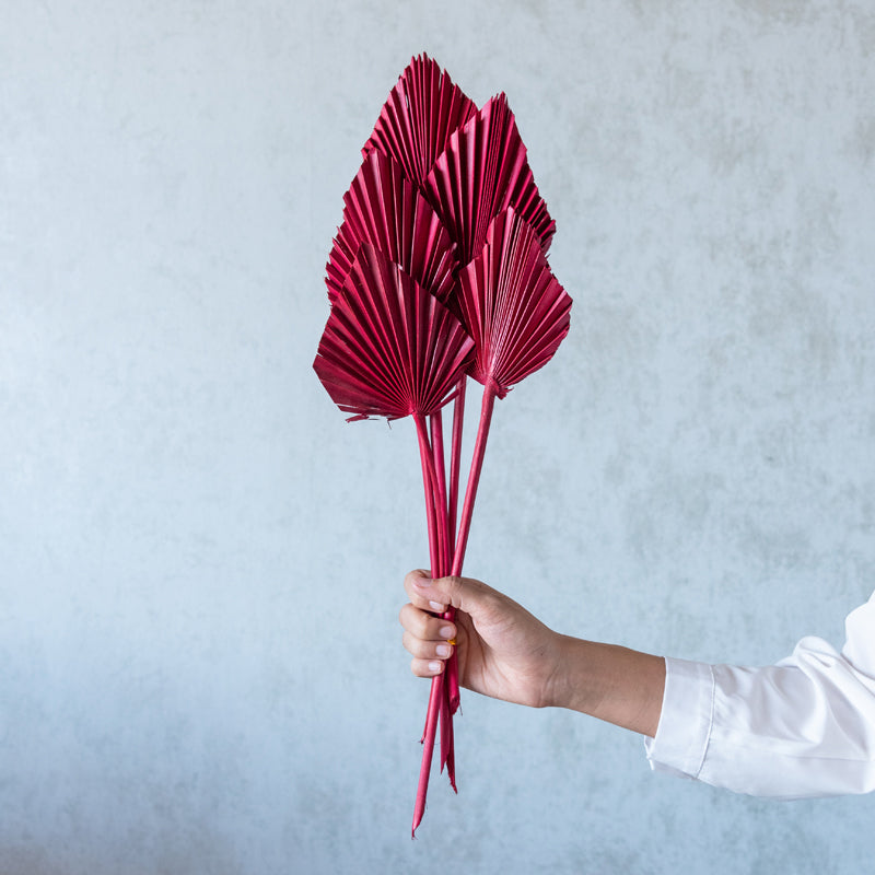 Buy Trovio Naturally Dried Palm Leaf (Red) - Set Of Five Artificial Flowers from Vaaree