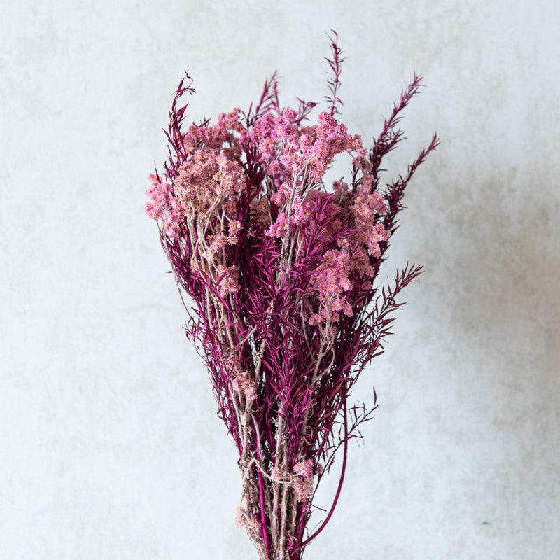 Buy Confetti Pink Dried Flower Bunch Artificial Flowers from Vaaree