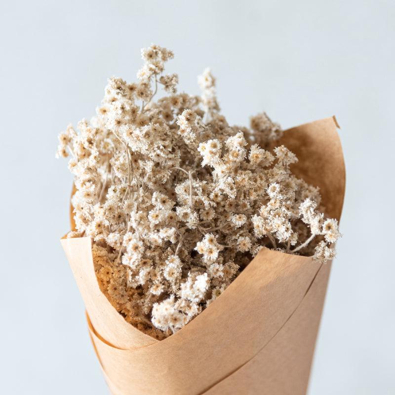 Buy Gypsophila Dried Flower Bunch Artificial Flowers from Vaaree