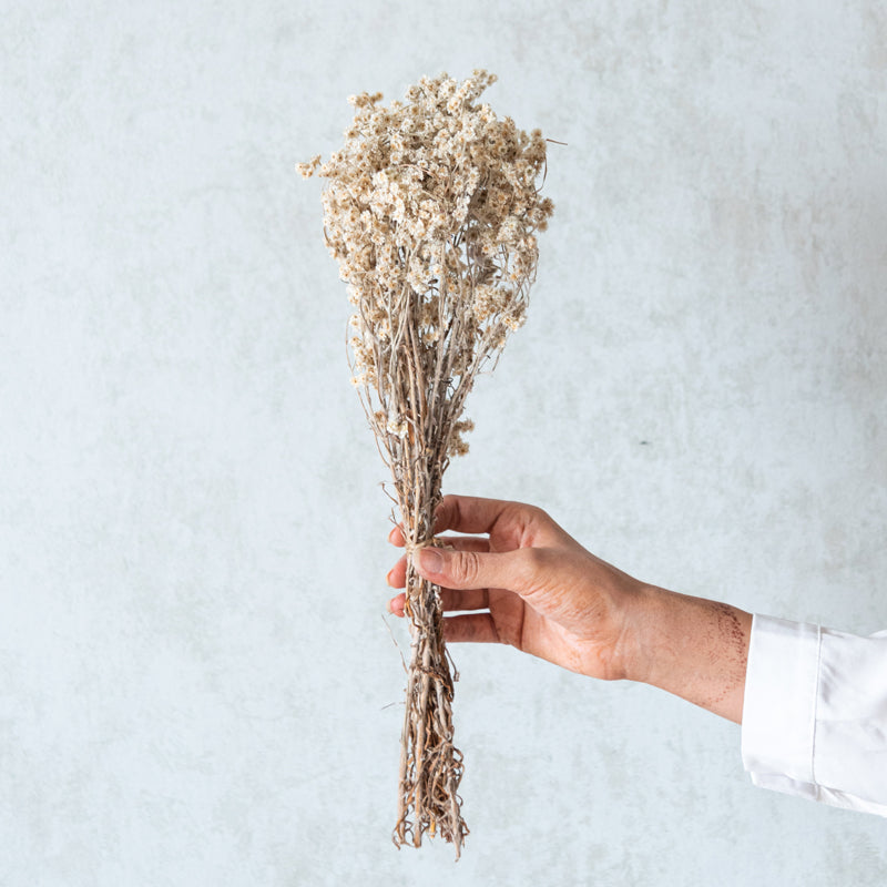 Buy Gypsophila Dried Flower Bunch Artificial Flowers from Vaaree