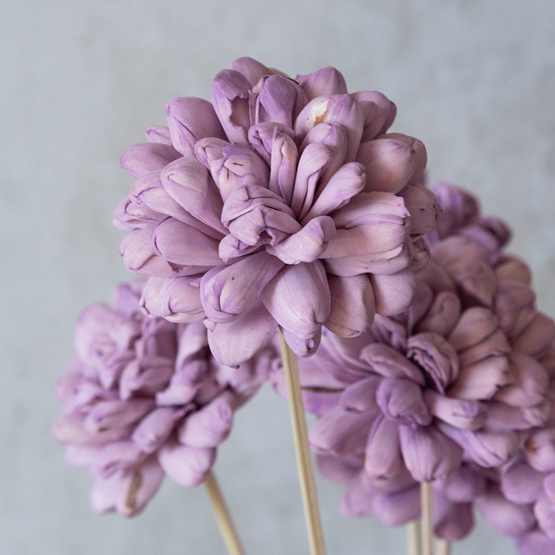 Buy Delva Sola Wood Rose Flower Stick (Lilac) - Set Of Ten Artificial Flowers from Vaaree