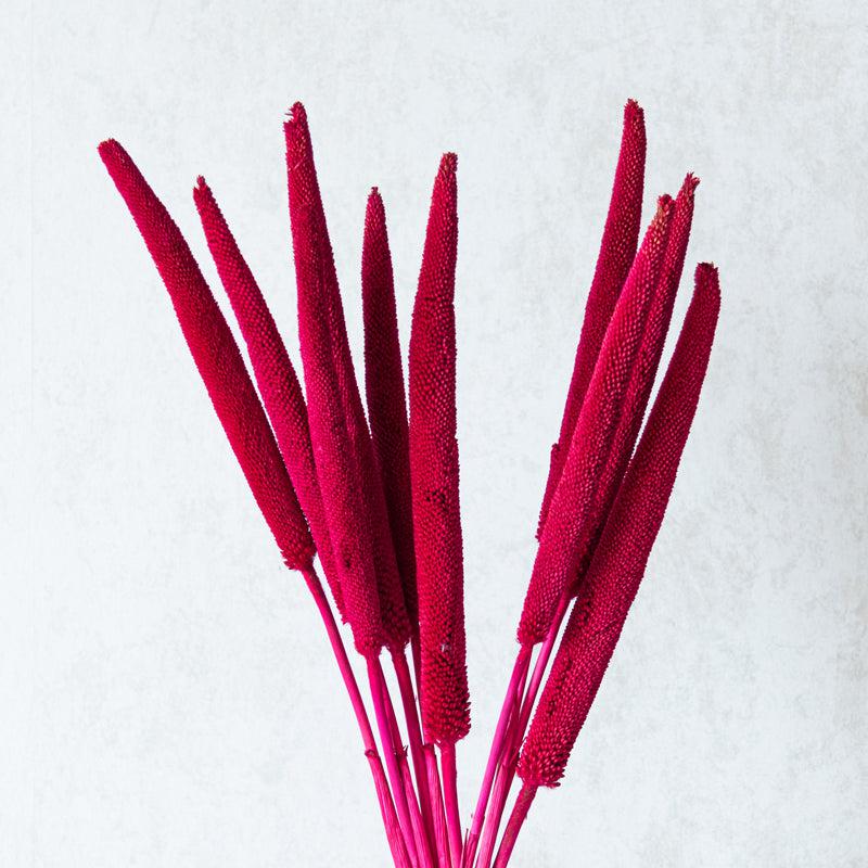 Buy Siva Dried Millet Stick (Red) - Set Of Ten Artificial Flowers from Vaaree