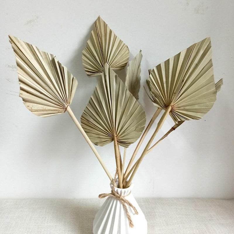 Buy Trovio Naturally Dried Palm Leaf (Beige) - Set Of Five Artificial Flowers from Vaaree