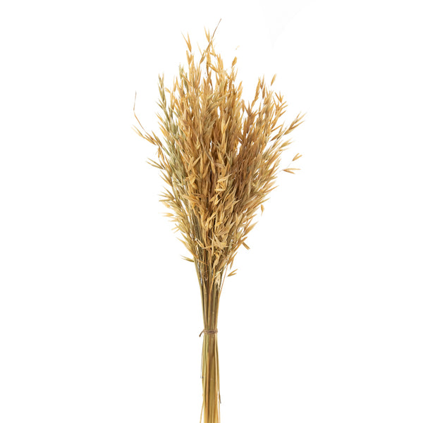 Buy Yini Naturally Dried Havana Grass Artificial Flowers from Vaaree