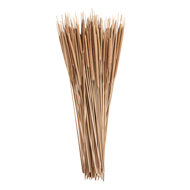 Buy Naturally Dried Reed Spadaix - Set Of Twenty Artificial Flowers from Vaaree