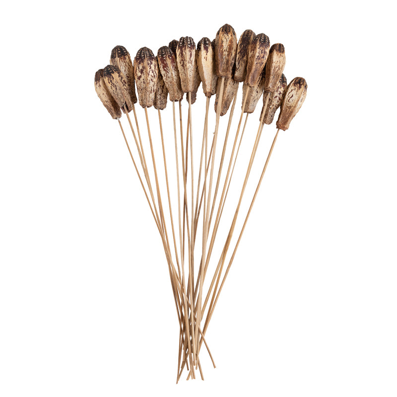 Buy Naturally Dried Mehogany Stem - Set Of Ten Artificial Flowers from Vaaree