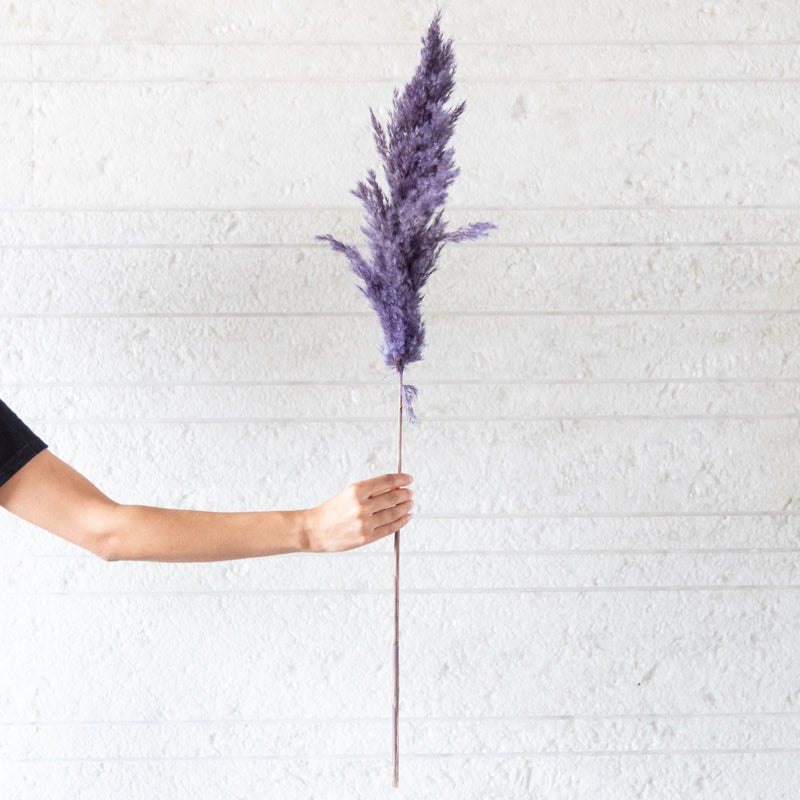 Buy Sitto Pampas Stick (Lavender) - Set Of Ten Artificial Flowers from Vaaree