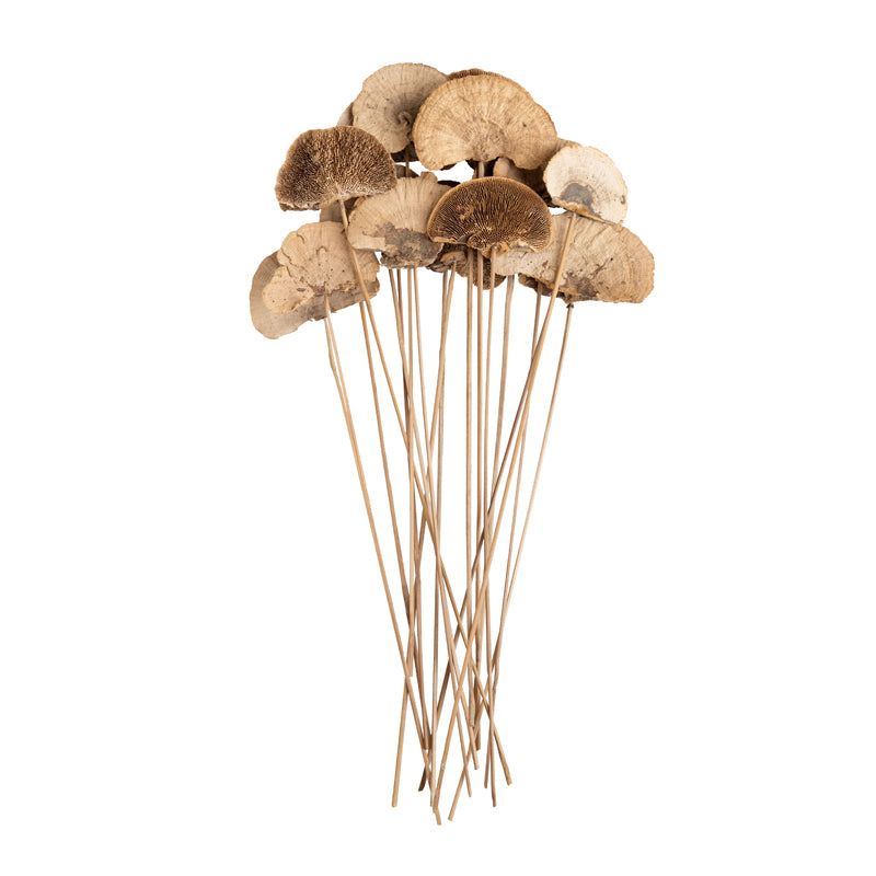 Buy Leom Dried Sponge Mushroom Stick - Set Of Ten Artificial Flowers from Vaaree