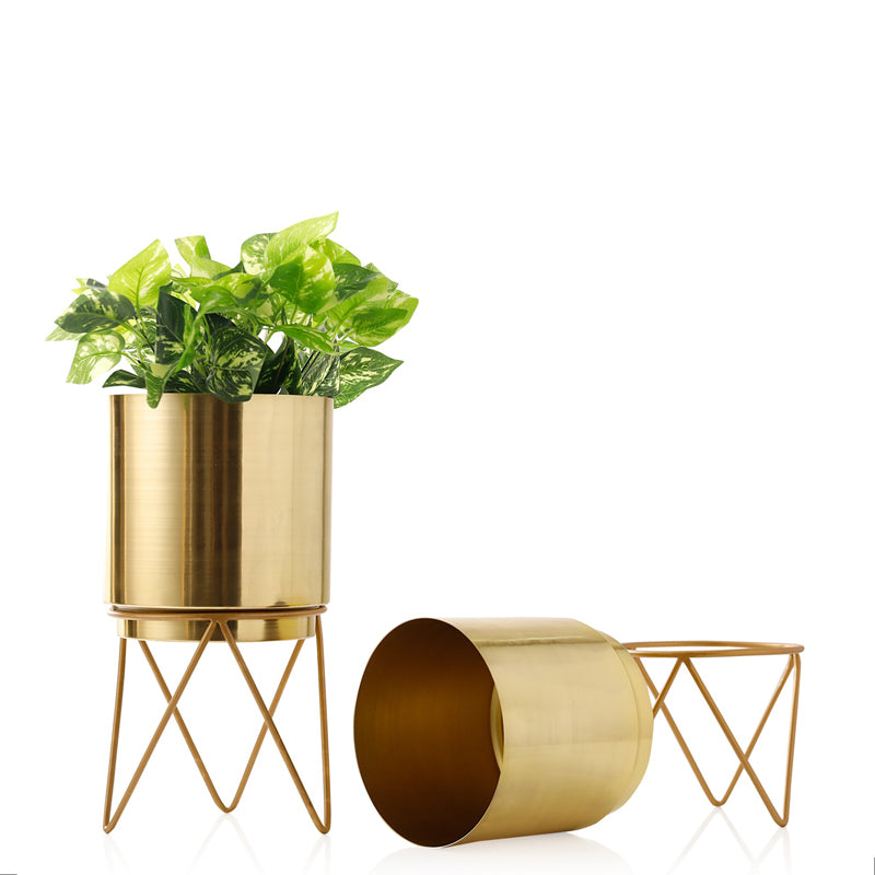 Buy Teodora Planter (Gold) - Set Of Two Pots & Planters from Vaaree