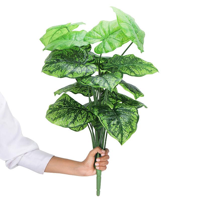 Buy Faux Botanic Dark Green Alocasia Plant - 2 Feet Artificial Plants from Vaaree