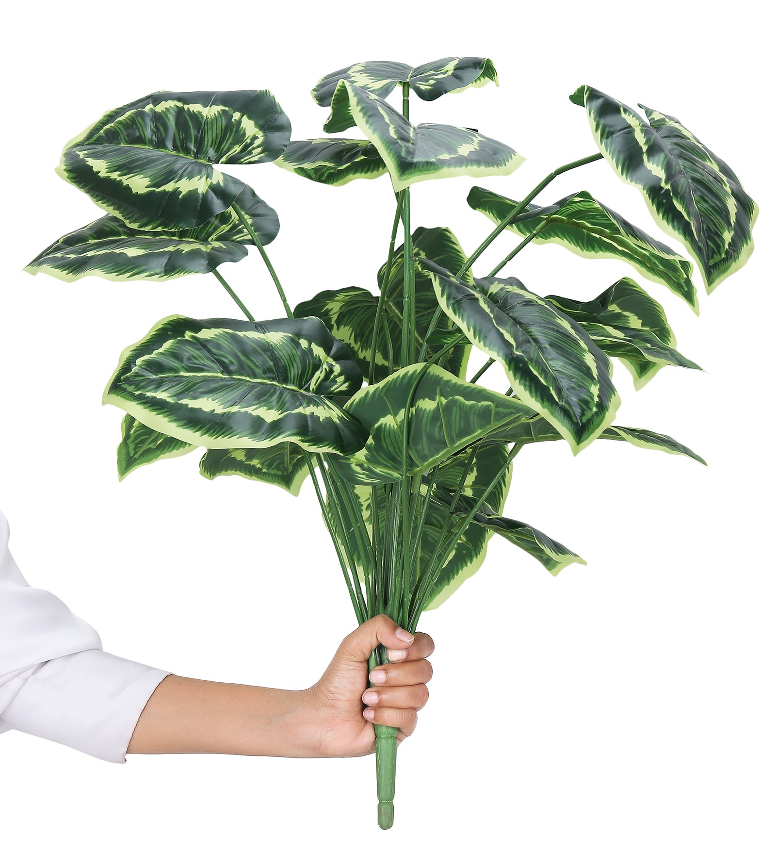 Buy Faux Daisy Money Plant - 2 Feet Artificial Plants from Vaaree