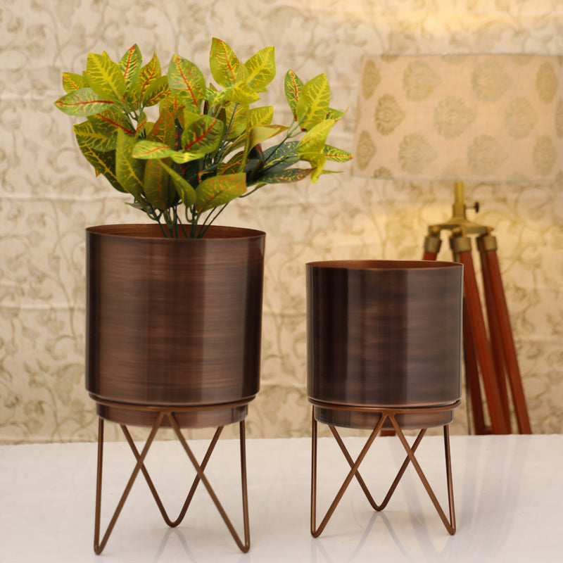 Buy Teodora Golden Planter (Antique Rose Gold) - Set Of Two Pots & Planters from Vaaree