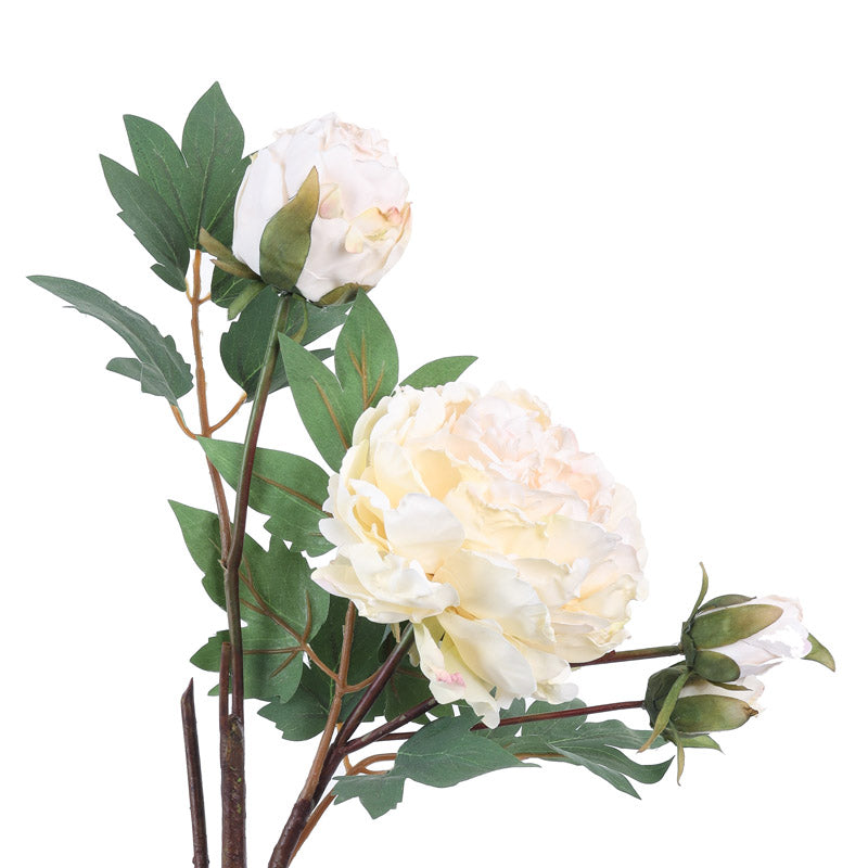 Buy Faux Realistic Peony Flower Stick - White Artificial Flowers from Vaaree