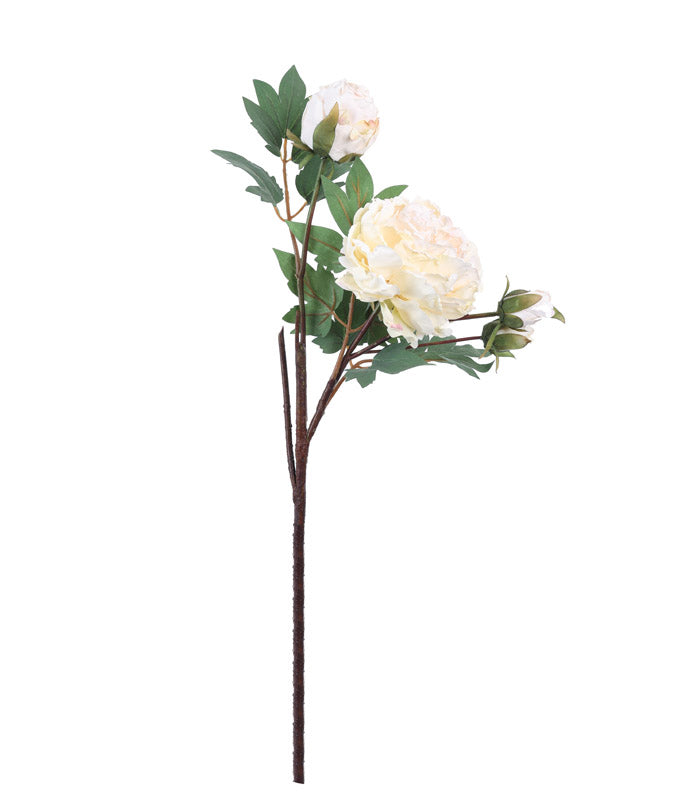 Buy Faux Realistic Peony Flower Stick - White Artificial Flowers from Vaaree