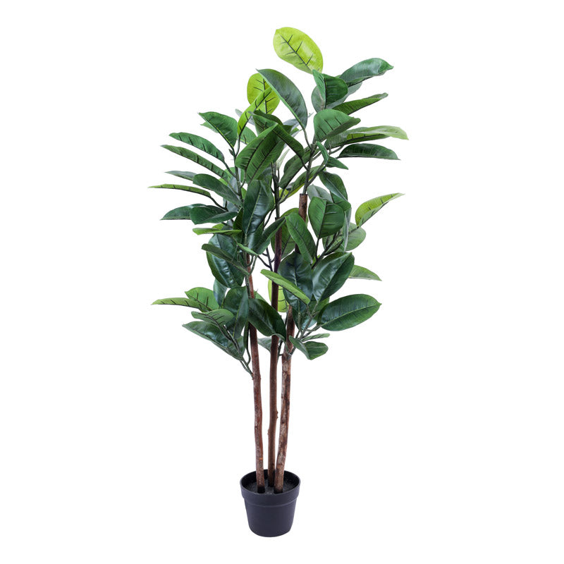 Buy Faux Realistic Rubber Tree With Pot - 3.9 Feet Artificial Plants from Vaaree