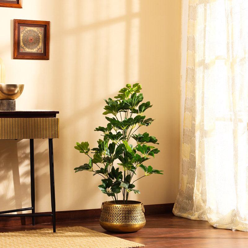 Buy Faux Realistic Schefflera Plant With Pot - 3 Feet Artificial Plants from Vaaree