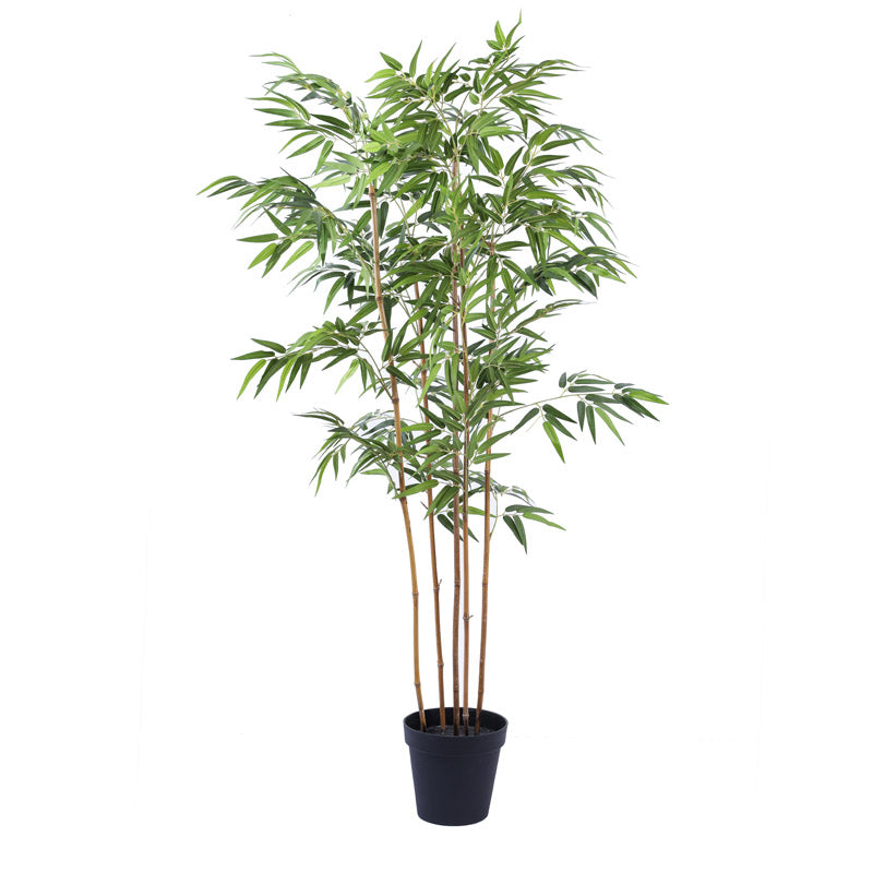 Buy Faux Realistic Bamboo Plant With Pot - 5.9 Feet Artificial Plants from Vaaree