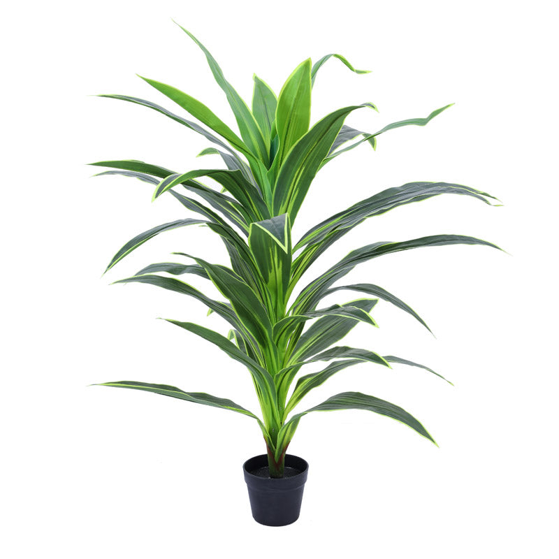 Buy Faux Realistic Dragon Plant With Pot - 3.9 Feet Artificial Plants from Vaaree