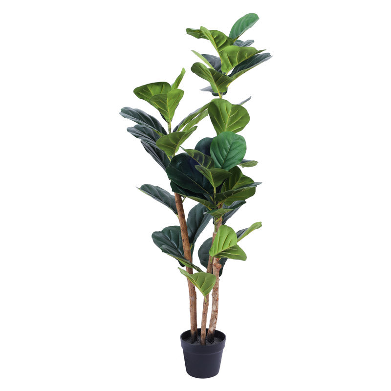 Buy Faux Realistic Fiddle Leaf Fig Plant With Pot - 3.9 Feet Artificial Plants from Vaaree