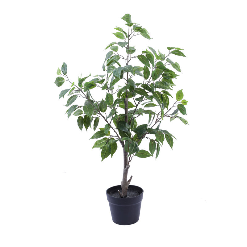 Buy Faux Realistic Ficus Plant With Pot - 3 Feet Artificial Plants from Vaaree