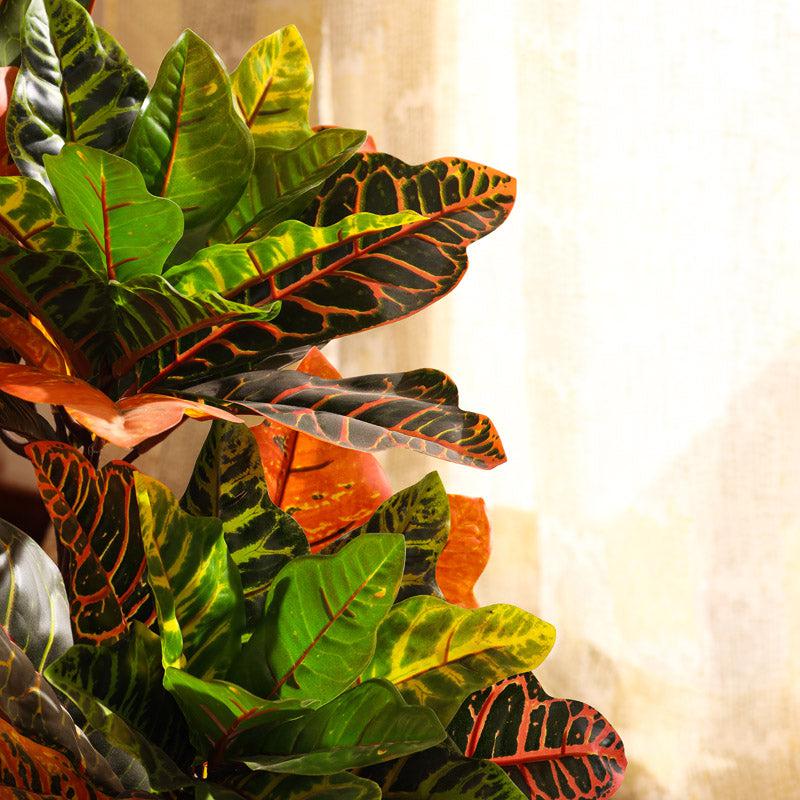 Buy Faux Realistic Croton Plant With Pot - 2.8 Feet Artificial Plants from Vaaree