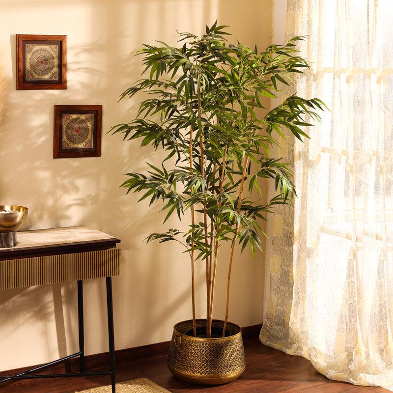 Buy Faux Realistic Bamboo Plant With Pot - 5.9 Feet Artificial Plants from Vaaree