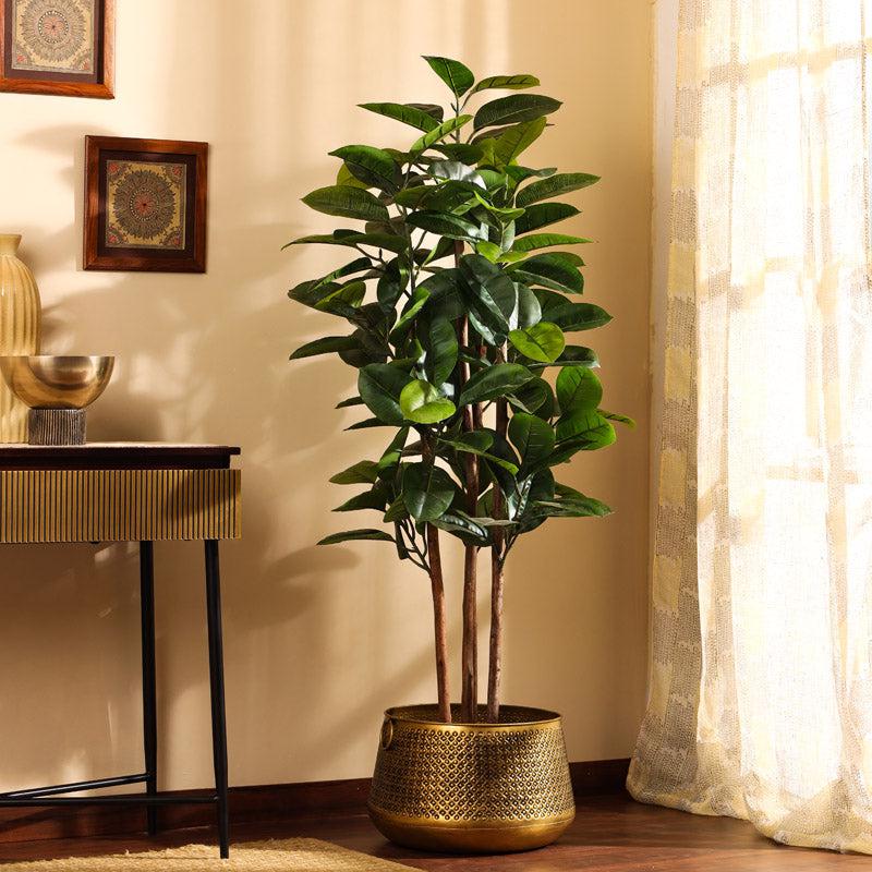 Buy Faux Realistic Rubber Tree With Pot - 4.9 Feet Artificial Plants from Vaaree