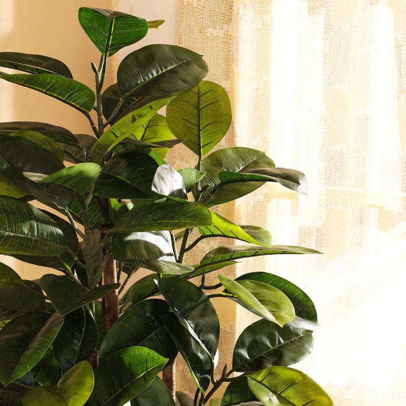 Buy Faux Realistic Rubber Tree With Pot - 4.9 Feet Artificial Plants from Vaaree