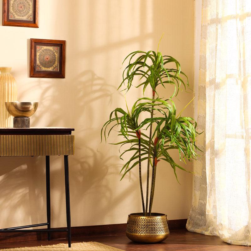 Buy Faux Realistic Dracaena Plant With Pot - 4.9 Feet Artificial Plants from Vaaree