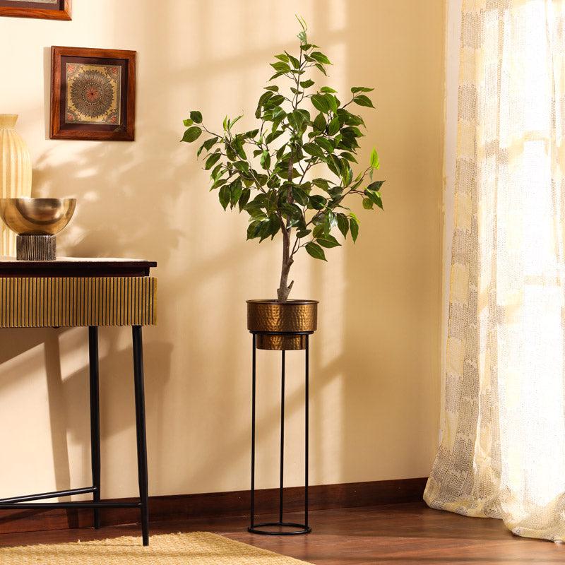 Buy Faux Realistic Ficus Plant With Pot - 3 Feet Artificial Plants from Vaaree