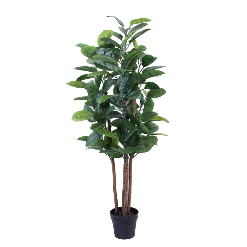 Buy Faux Realistic Rubber Tree With Pot - 4.9 Feet Artificial Plants from Vaaree