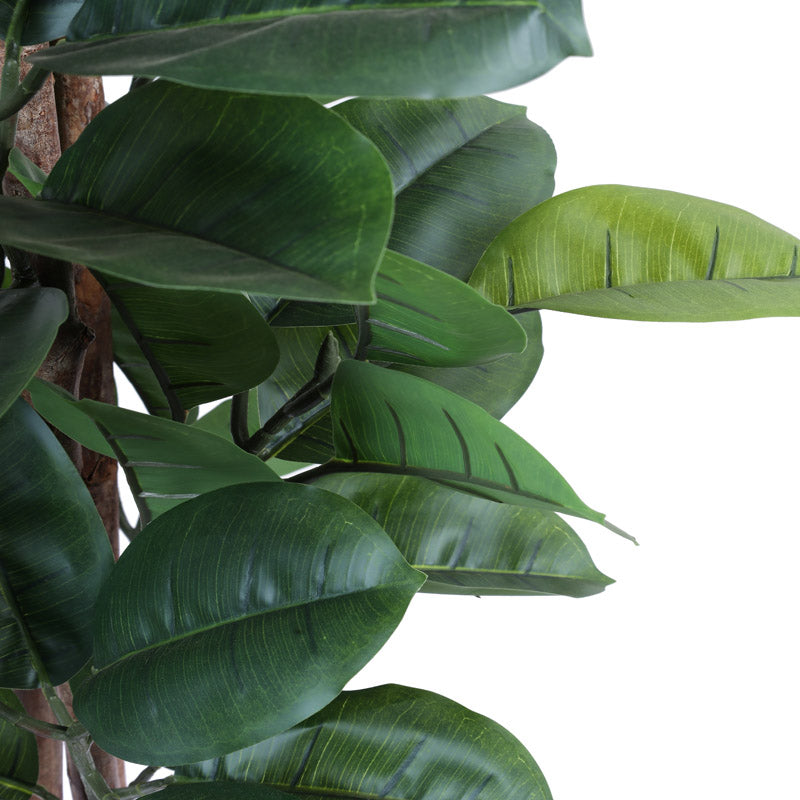 Buy Faux Realistic Rubber Tree With Pot - 4.9 Feet Artificial Plants from Vaaree