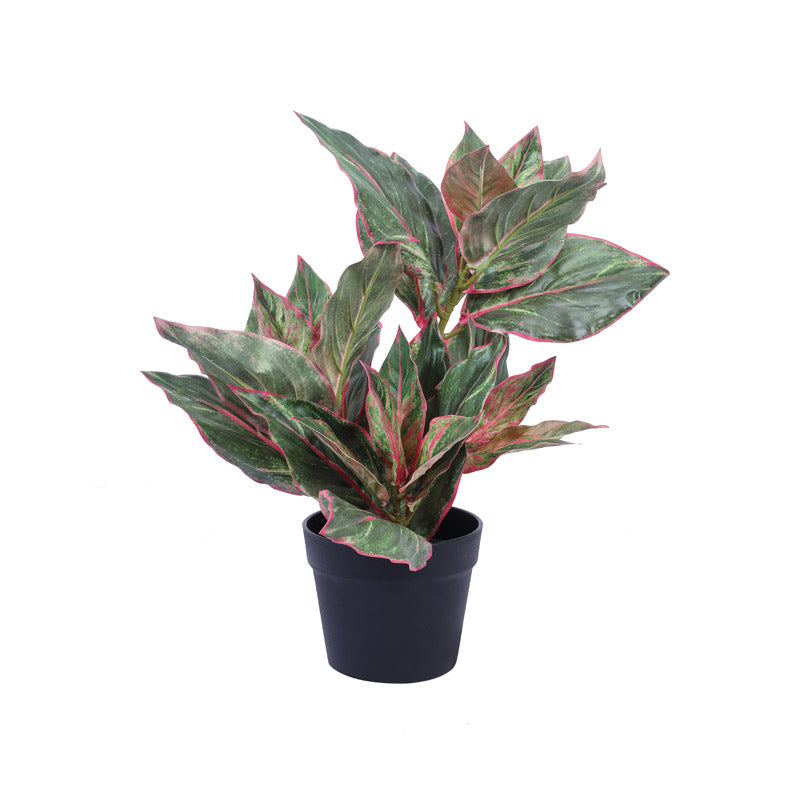 Buy Faux Realistic Dieffenbachia With Pot - Green Artificial Plants from Vaaree