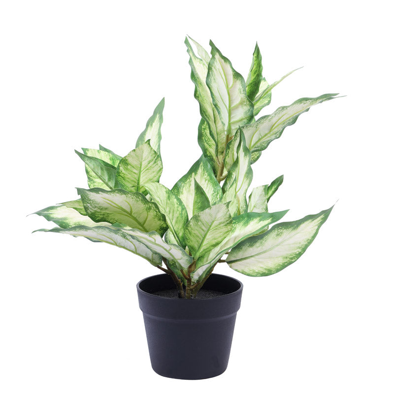 Buy Faux Realistic Variegated Dieffenbachia With Pot - Green Artificial Plants from Vaaree