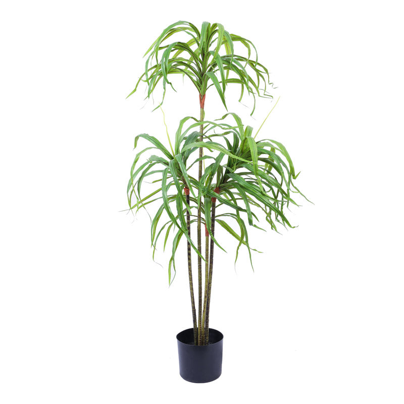 Buy Faux Realistic Dracaena Plant With Pot - 4.9 Feet Artificial Plants from Vaaree