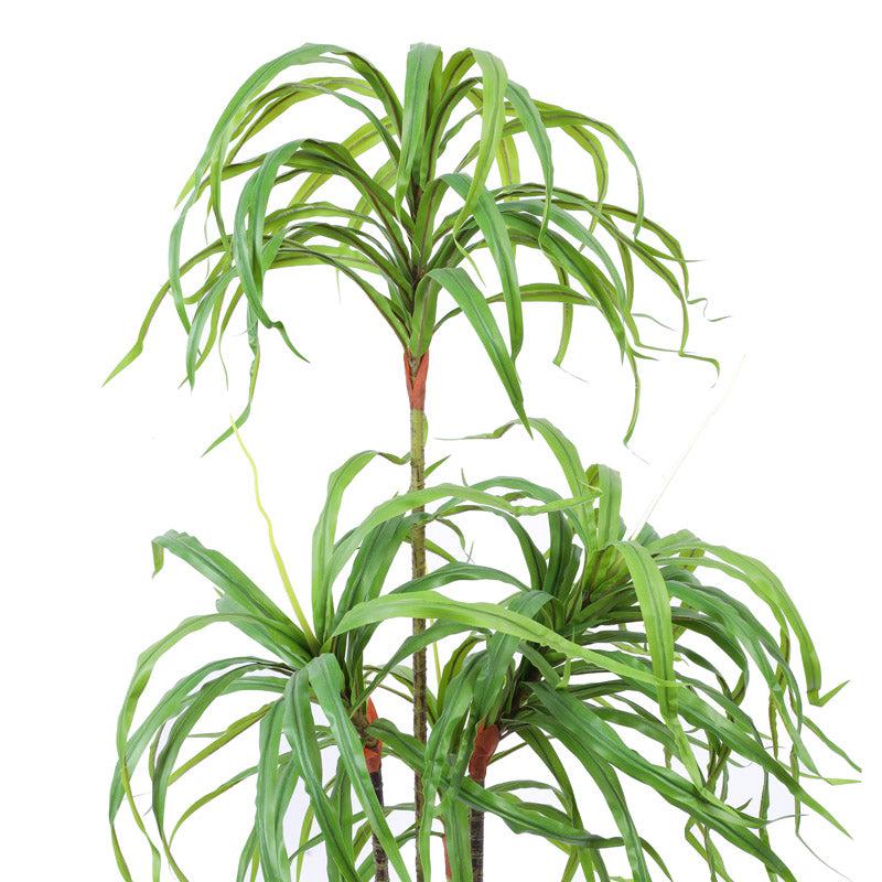 Buy Faux Realistic Dracaena Plant With Pot - 4.9 Feet Artificial Plants from Vaaree