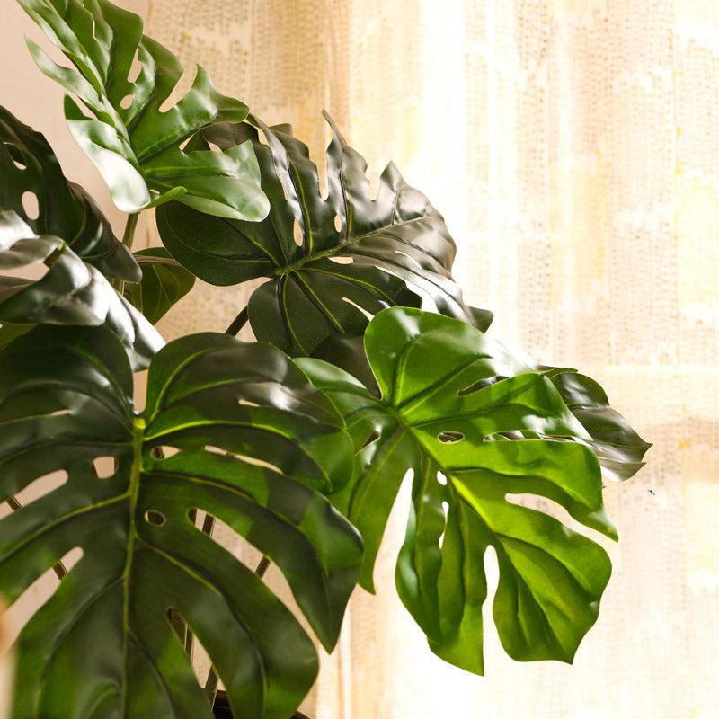 Buy Faux Realistic Monstera Plant in Black Pot Artificial Plants from Vaaree