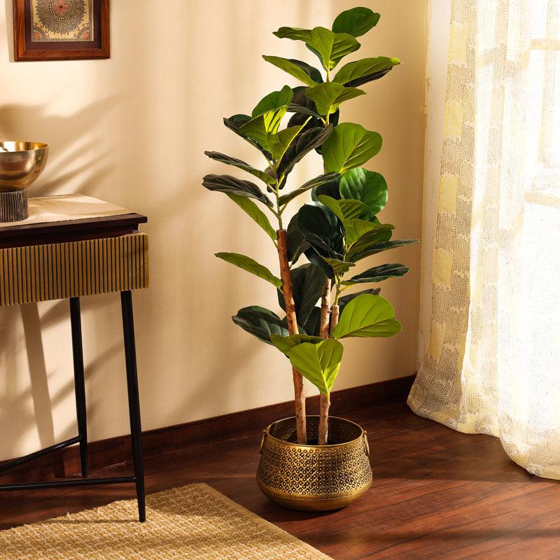 Buy Faux Realistic Fiddle Leaf Fig Plant With Pot - 3.9 Feet Artificial Plants from Vaaree