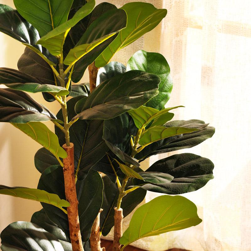 Buy Faux Realistic Fiddle Leaf Fig Plant With Pot - 3.9 Feet Artificial Plants from Vaaree