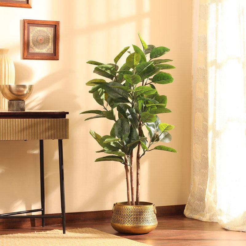 Buy Faux Realistic Rubber Tree With Pot - 3.9 Feet Artificial Plants from Vaaree