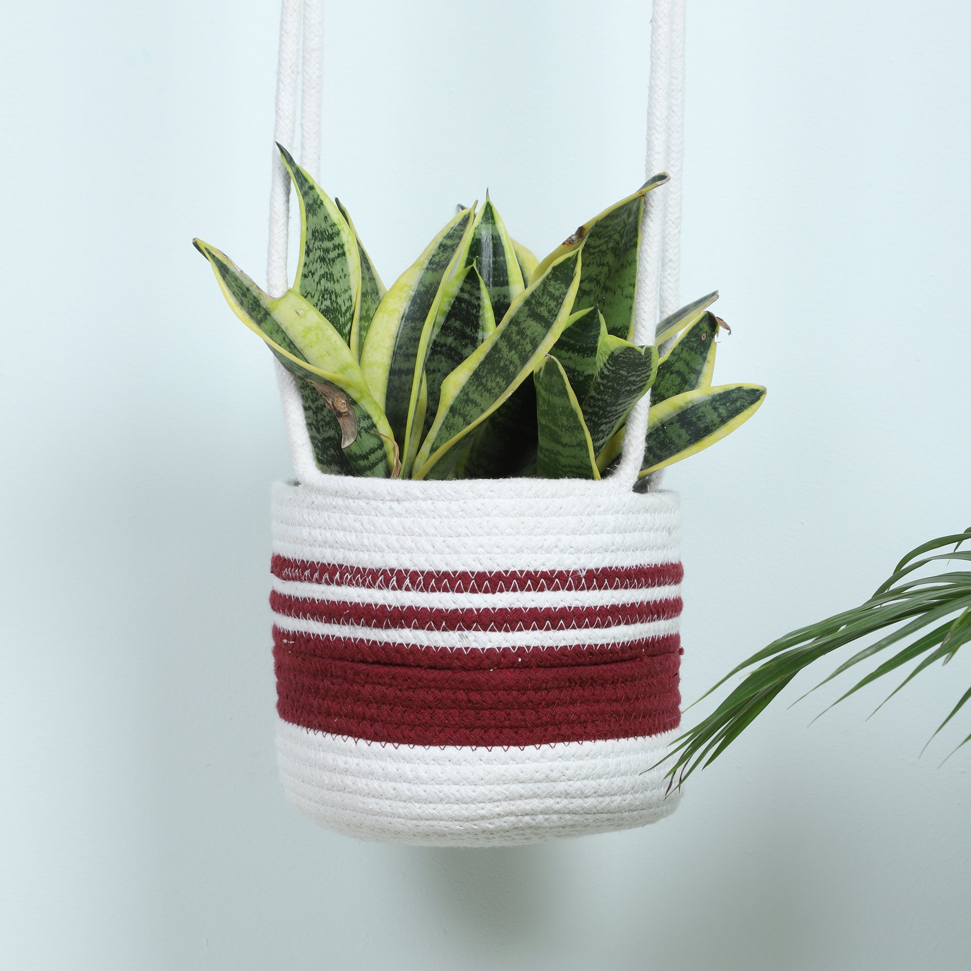 Buy Toro Handmade Hanging Jute Planter Pots & Planters from Vaaree