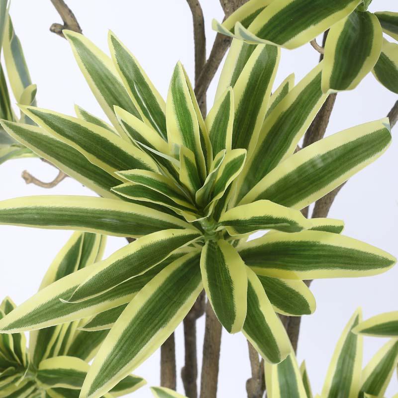 Buy Faux Lush Dracaena Reflexa Plant With Pot - 5.2 Feet Artificial Plants from Vaaree