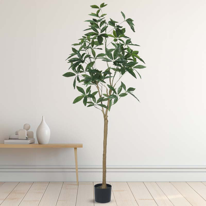 Buy Faux Lush Pachira Plant With Pot - 5.6 Feet Artificial Plants from Vaaree