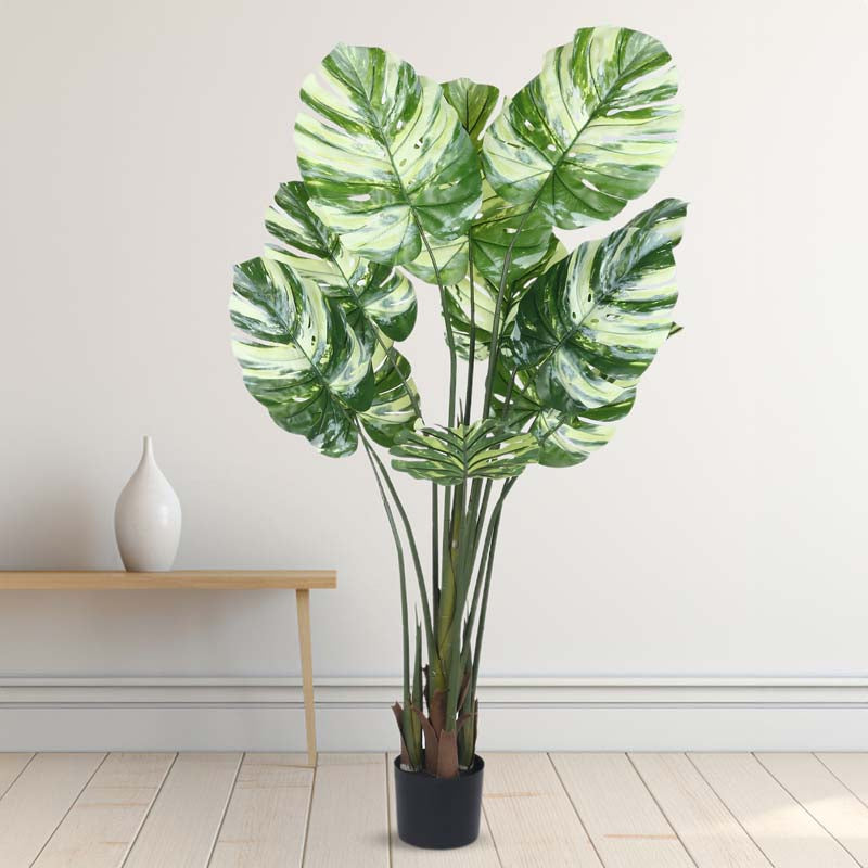 Buy Faux Lush Variegated Monstera Plant With Pot - 5 Feet Artificial Plants from Vaaree